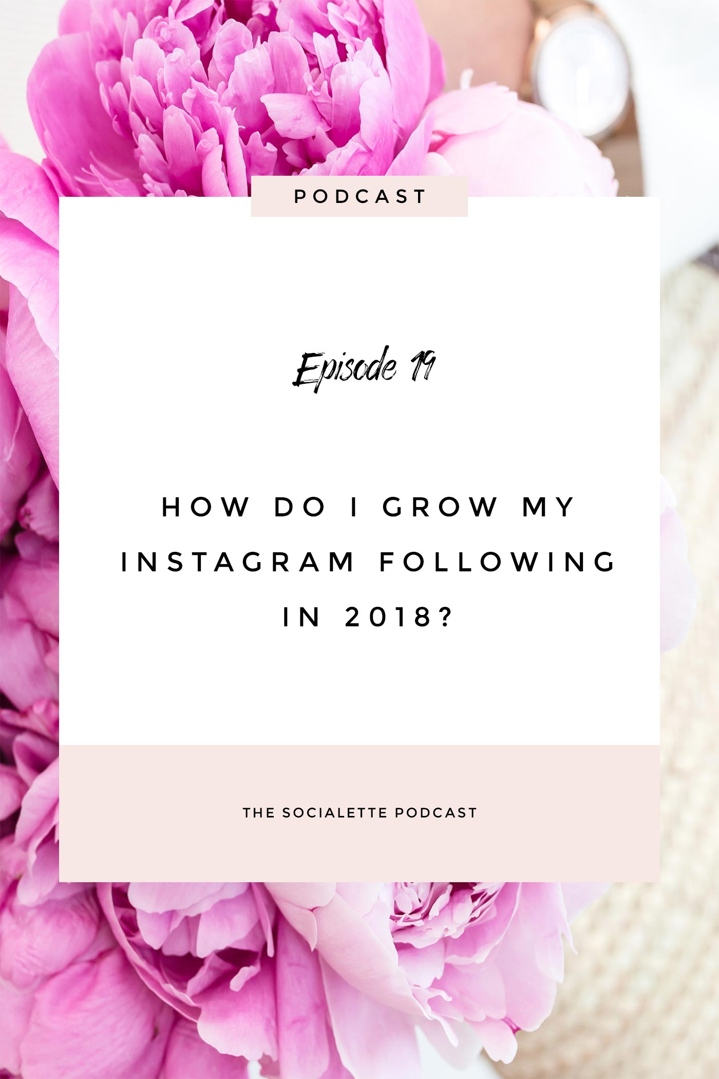 how to grow your instagram following when you re starting out - how to grow an instagram following