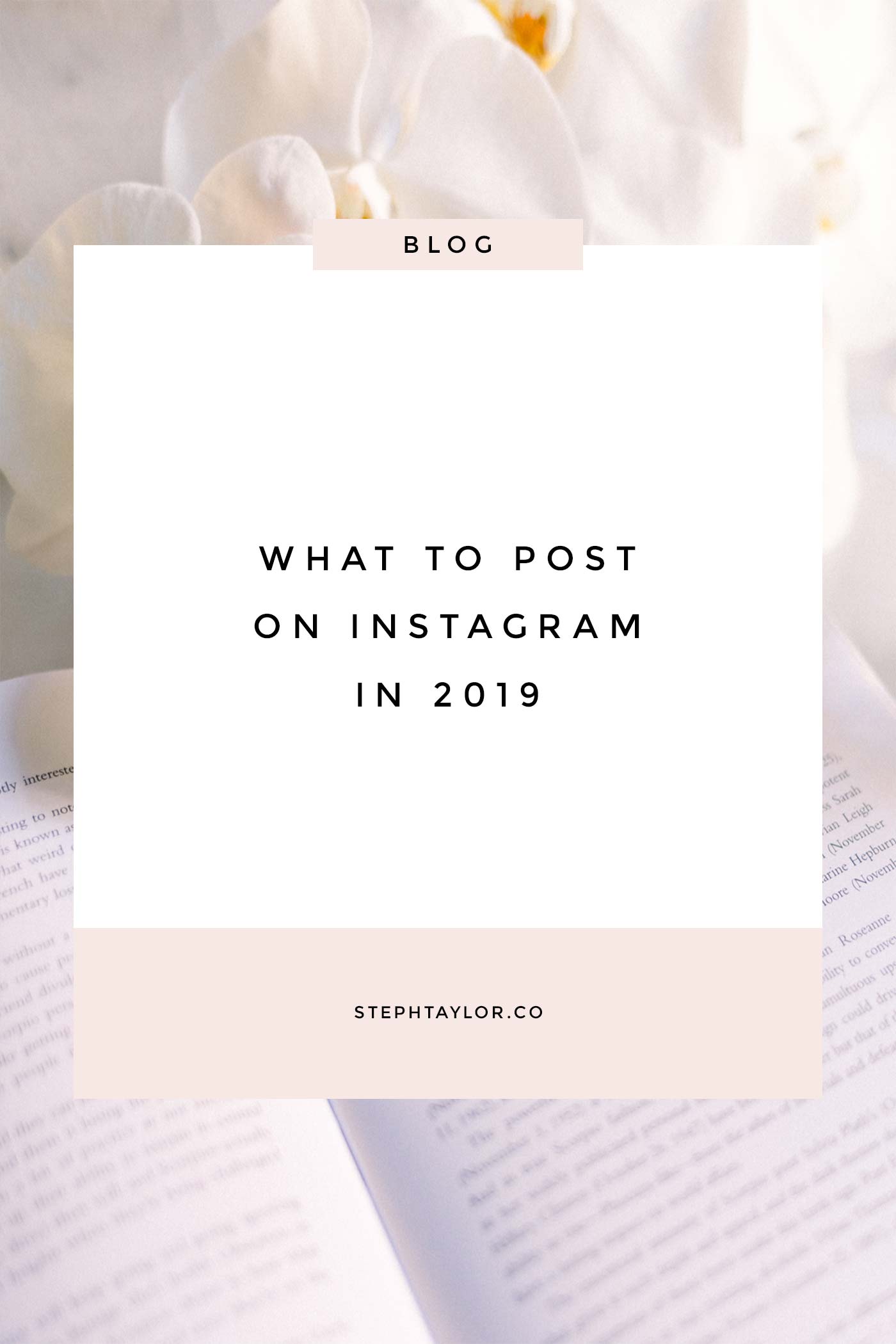 What to post on Instagram in 2019 | Steph Taylor - Small ... - 1400 x 2100 jpeg 94kB