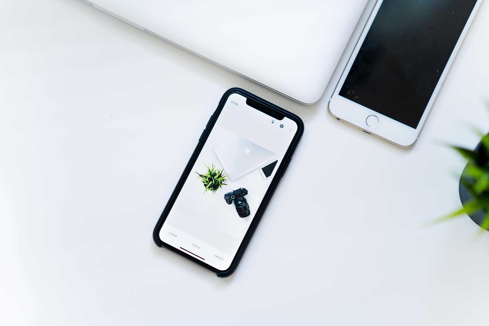Rely on organic social media alone