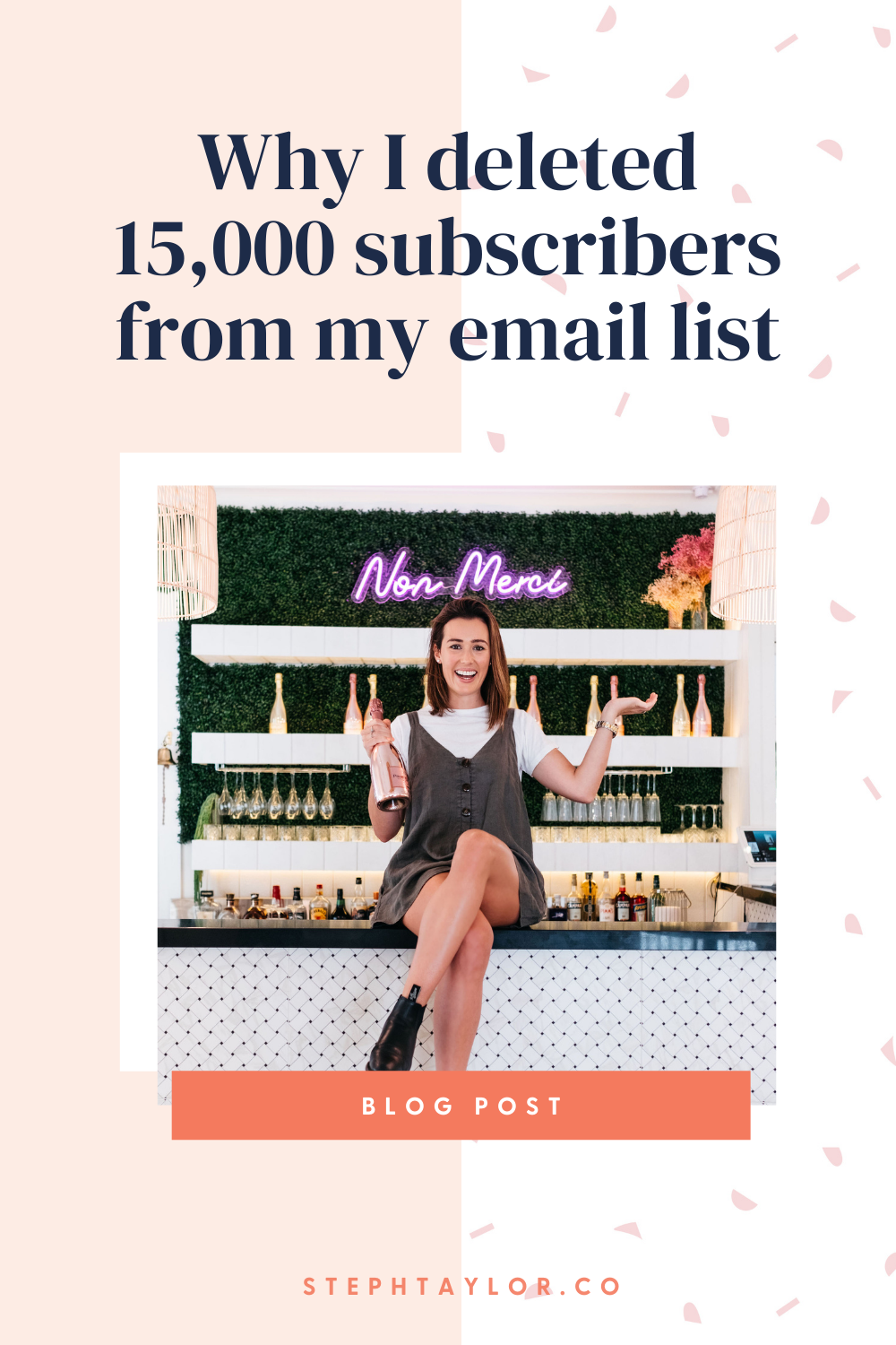 deleted subscribers from my email list